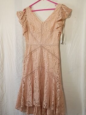 NWT Taylor Lace V-Neck Flutter Sleeve Midi Dress in Blush Pink, SZ 6